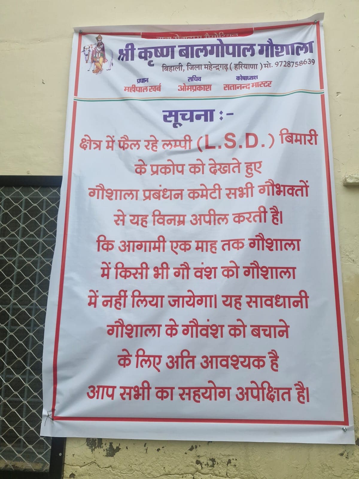Ateli News | लंपी बीमारी को लेकर गौशाला में सतर्कता : बाहरी गौवंश के प्रवेश पर रोक | वैक्सीनेशन कराया