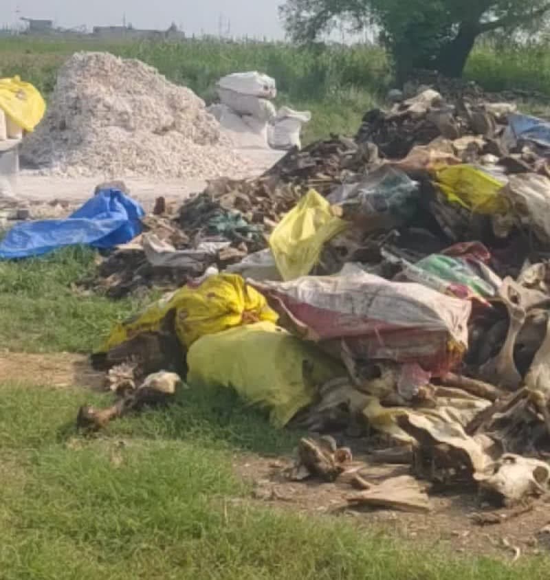 Nuh News | स्कूल के सामने पशुओं की हड्डियां जलाने की शिकायत : धुएं-दुर्गंध से परेशानी | जांच के निर्देश