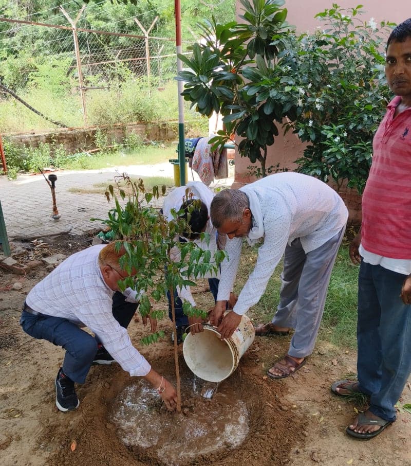 Kanina News | 132 KV सब स्टेशन में पौधरोपण अभियान : छायादार, फलदार और औषधीय पौधे लगाए | पर्यावरण संरक्षण का संदेश